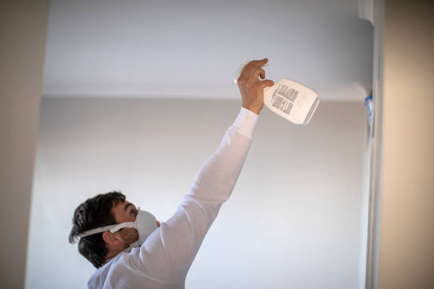 Best Residential Mold Removal  in Beaufort, SC