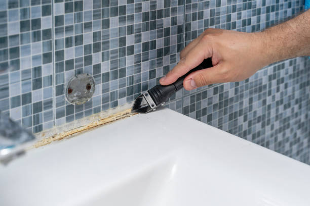 Best Mold Damage Repair  in Beaufort, SC